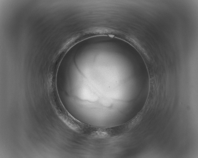 X0000081300159200701111434