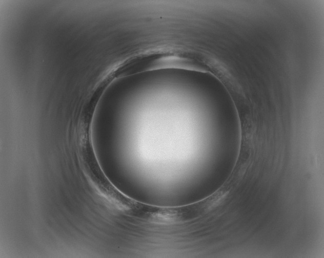 X0000081300164200701111434