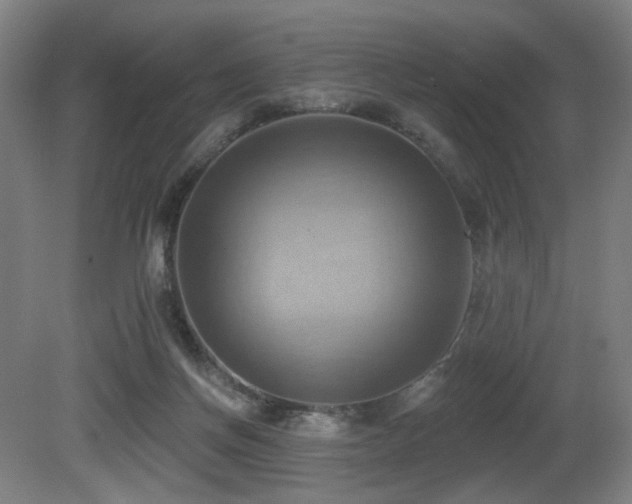 X0000081300166200701111434