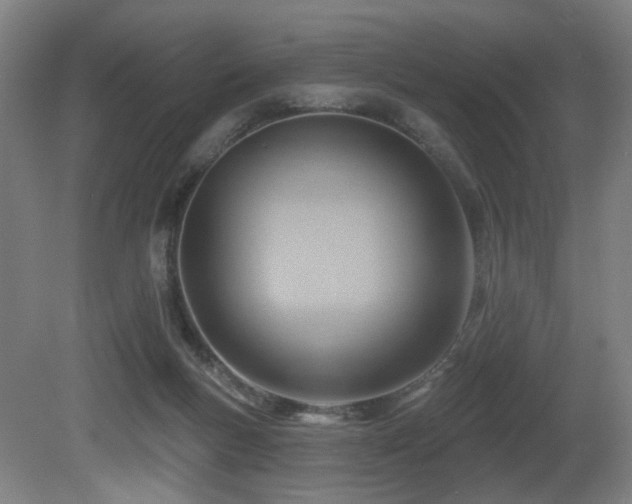 X0000081300167200701111434