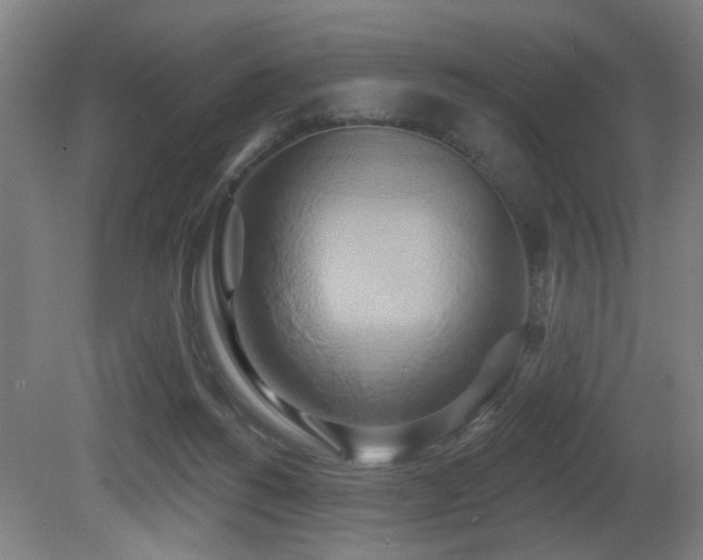X0000081300168200701111434