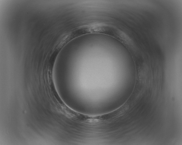 X0000081300169200701111434
