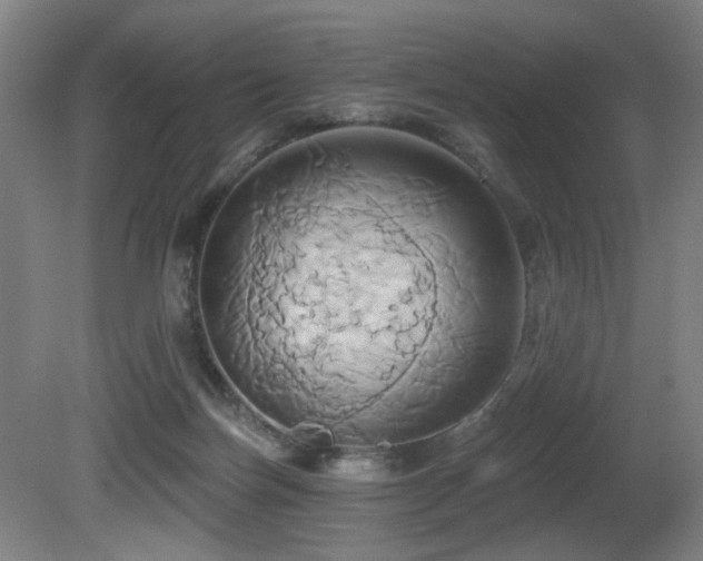 X0000081300171200701111434