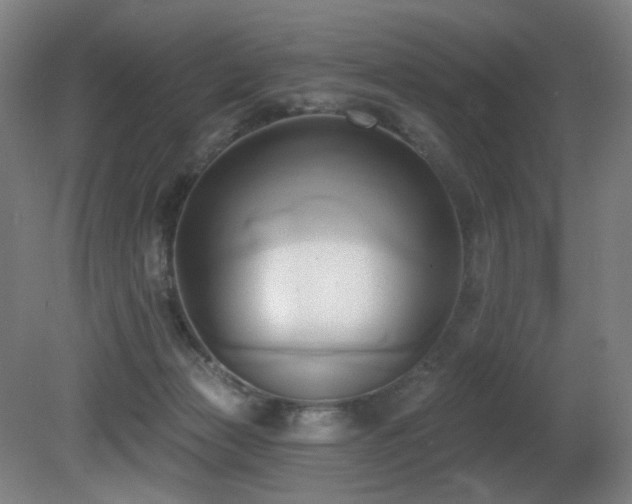 X0000081300173200701111434