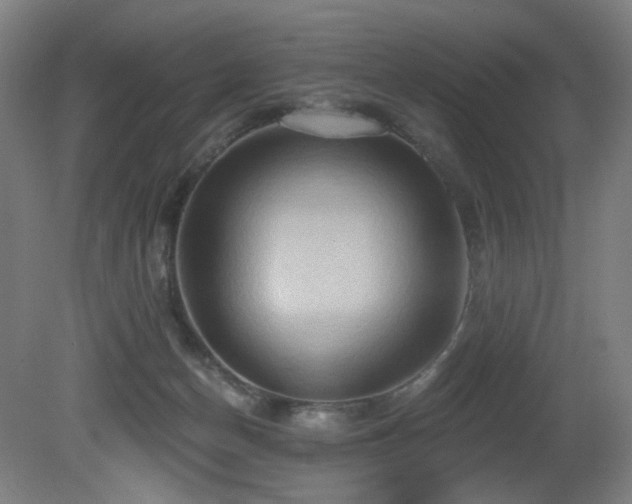 X0000081300174200701111434
