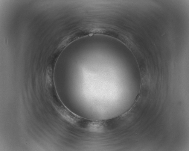 X0000081300175200701111434