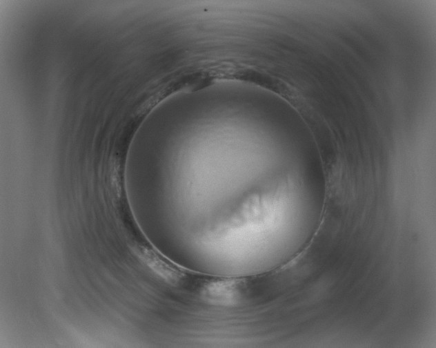 X0000081300178200701111434