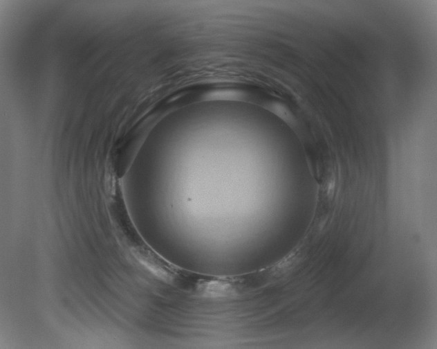 X0000081300180200701111434