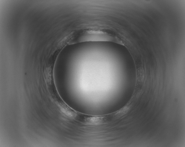 X0000081300184200701111434