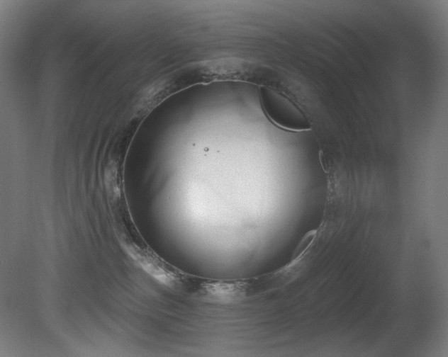 X0000081300187200701111434