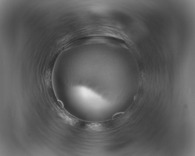 X0000081300189200701111434