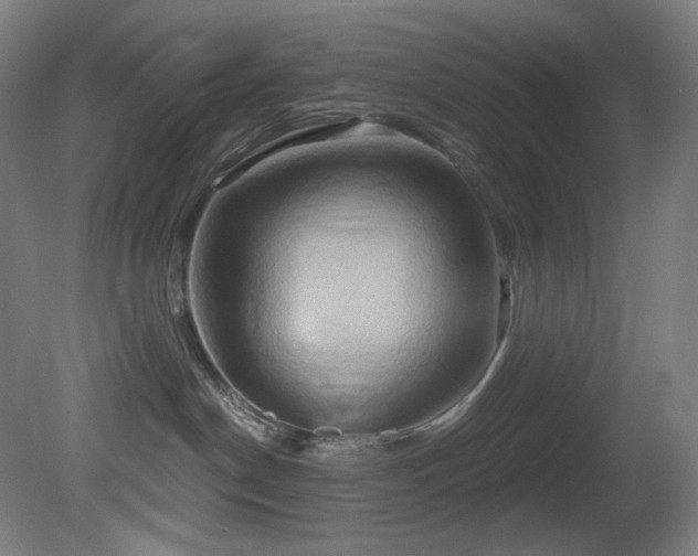 X0000081300190200701111434