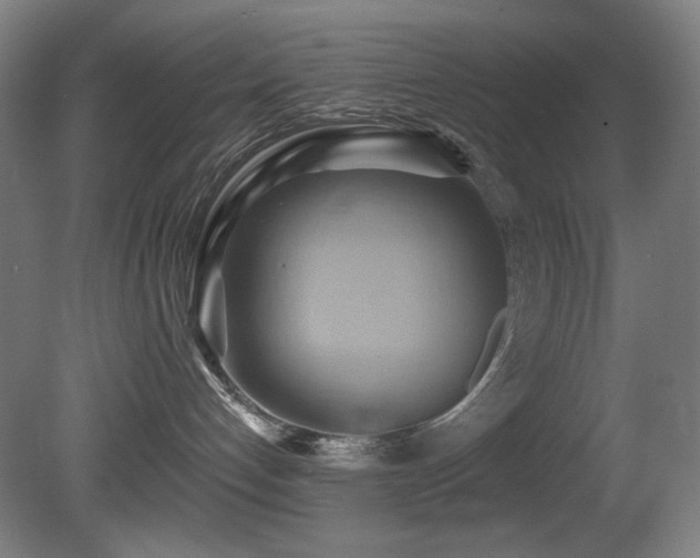 X0000081300192200701111434