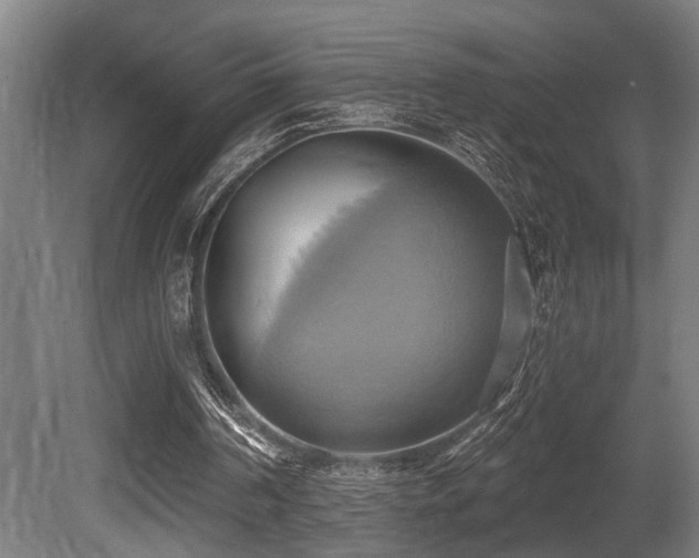 X0000081300194200701111433