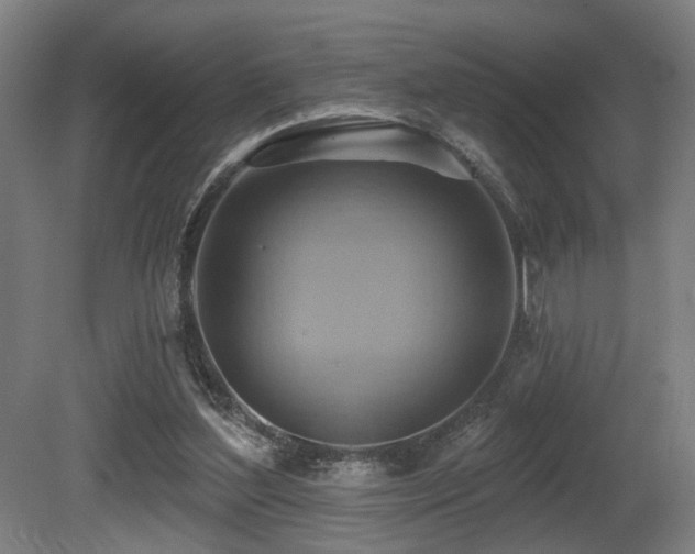 X0000081300204200701111433