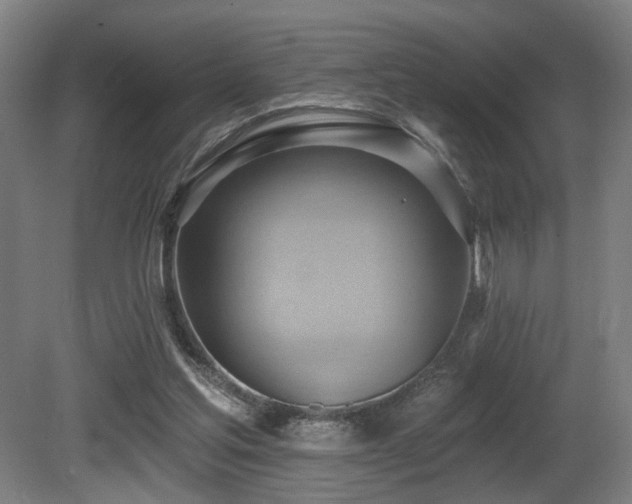 X0000081300205200701111433