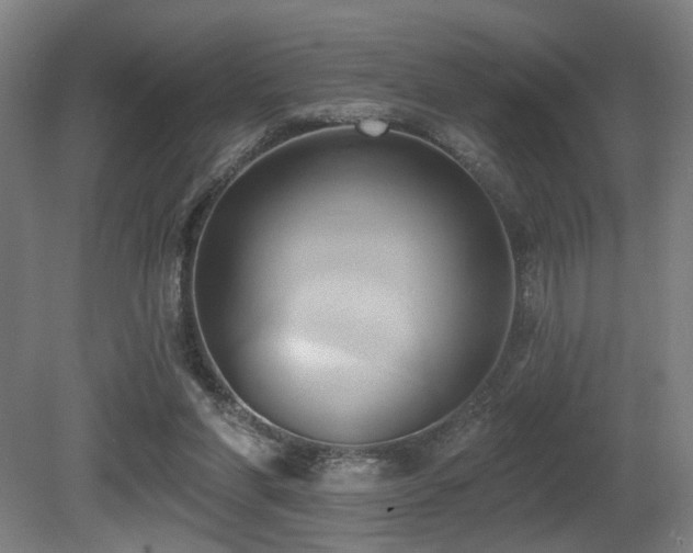 X0000081300206200701111433