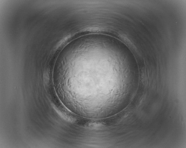 X0000081300208200701111433