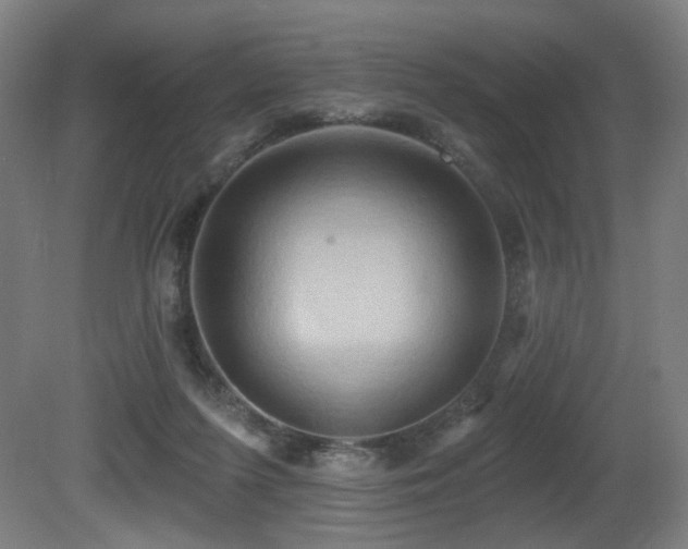 X0000081300215200701111433