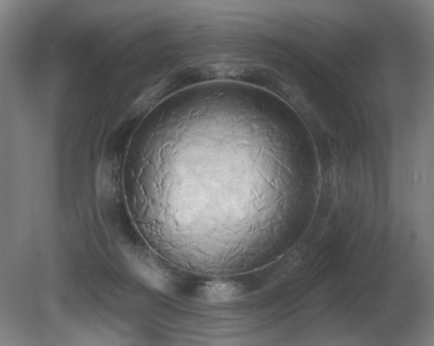 X0000081300218200701111433
