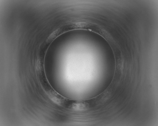 X0000081300220200701111433