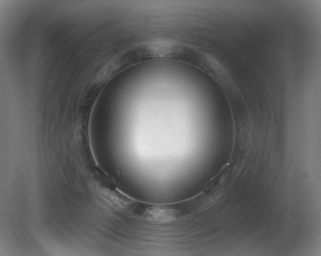 X0000081300221200701111433