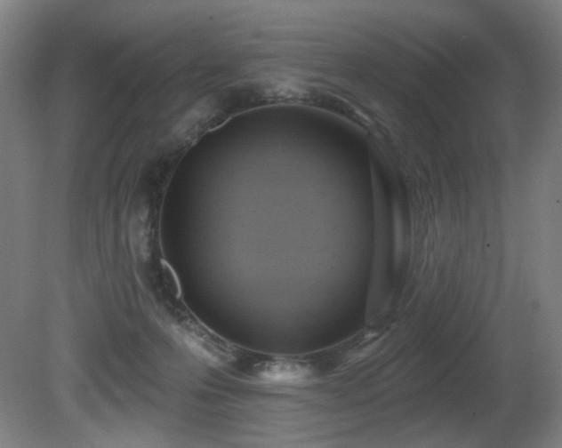X0000081300223200701111433