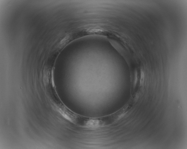 X0000081300227200701111433