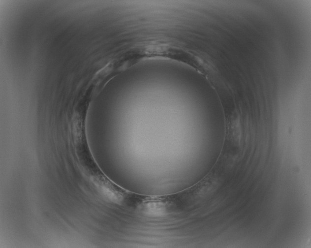 X0000081300228200701111433