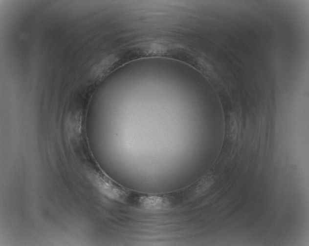 X0000081300230200701111433