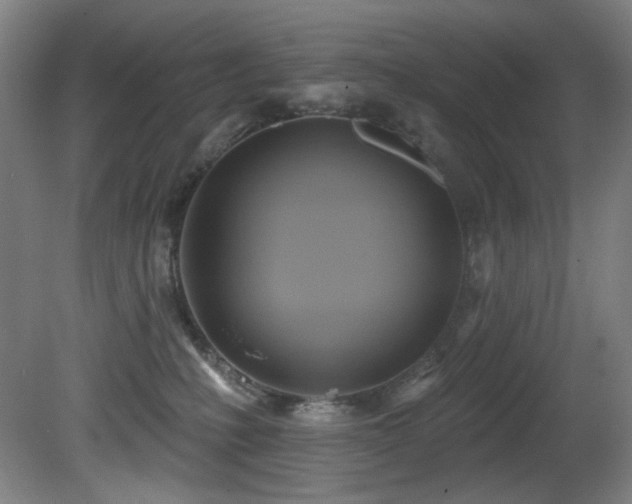 X0000081300231200701111433