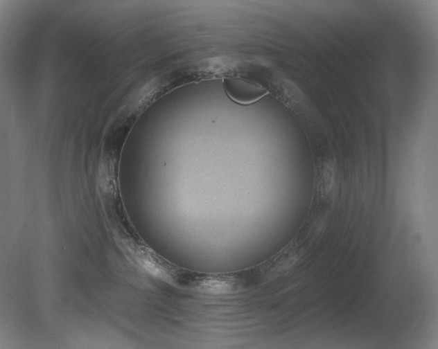 X0000081300236200701111433