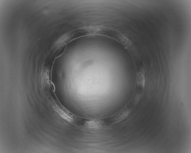X0000081300238200701111433