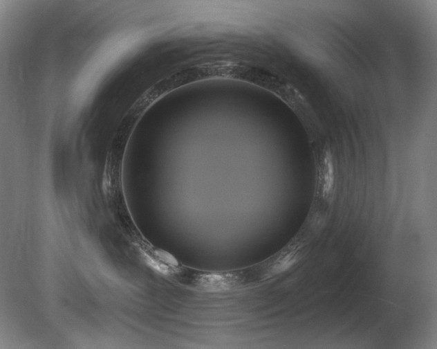X0000081300239200701111433