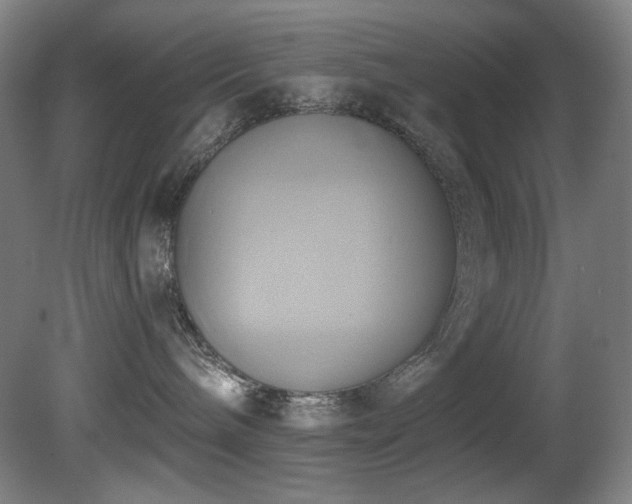 X0000081300240200701111433