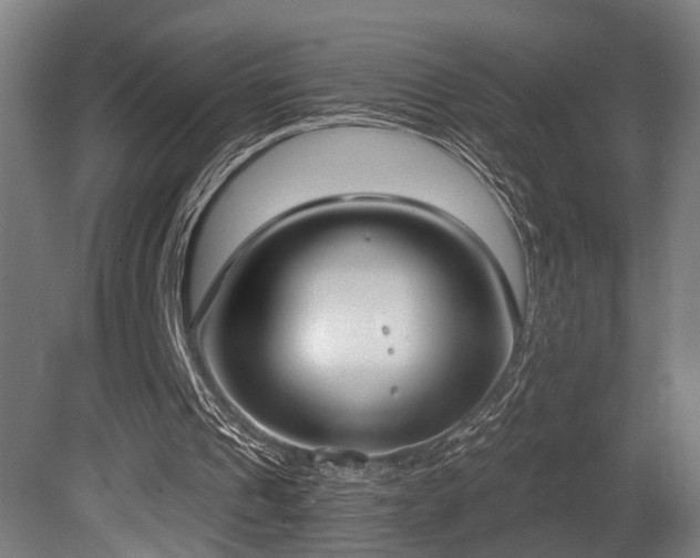 X0000081300241200701111432