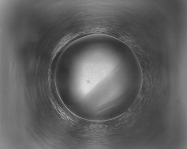 X0000081300242200701111432