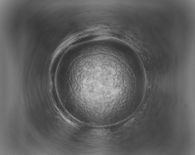 X0000081300245200701111432