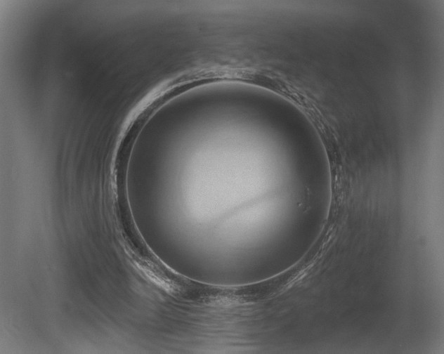 X0000081300246200701111432