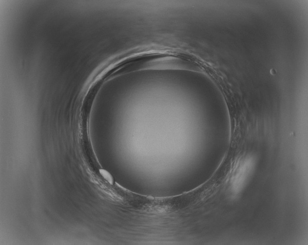 X0000081300247200701111432