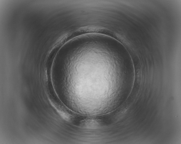 X0000081300254200701111432