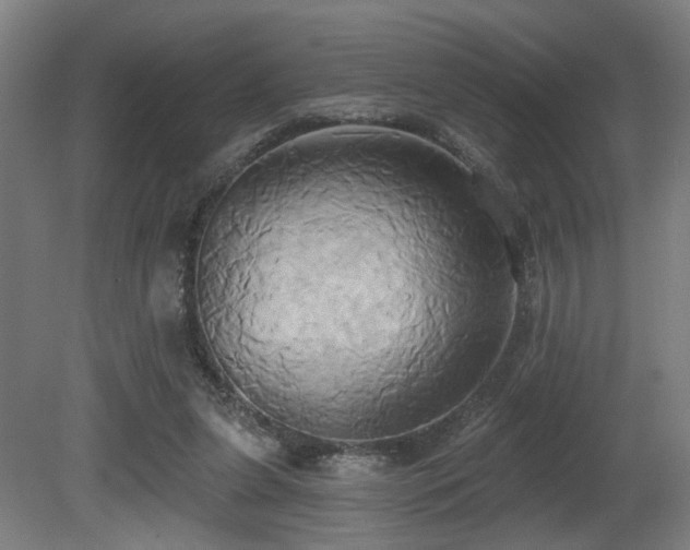 X0000081300255200701111432