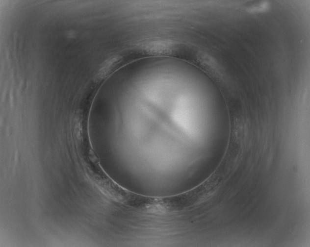 X0000081300259200701111432