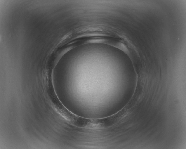 X0000081300260200701111432