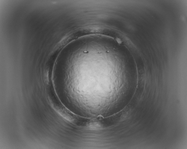 X0000081300262200701111432
