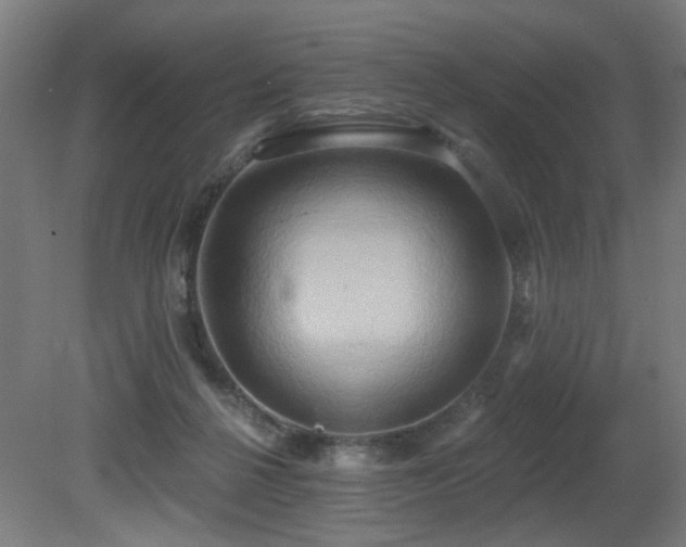 X0000081300264200701111432