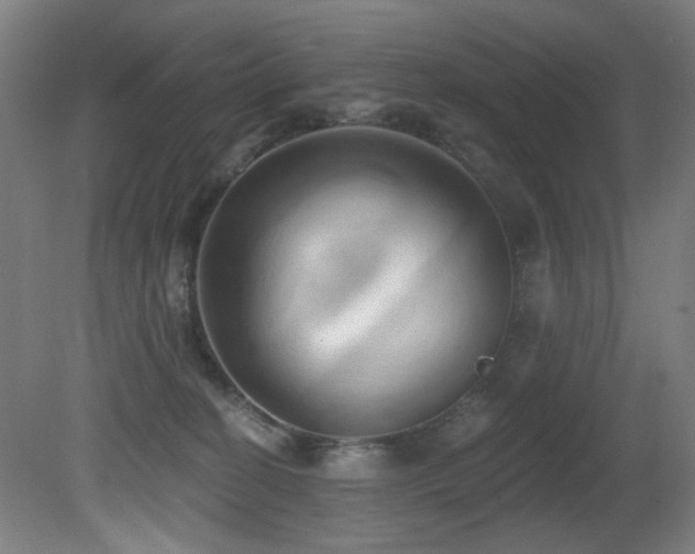 X0000081300274200701111432