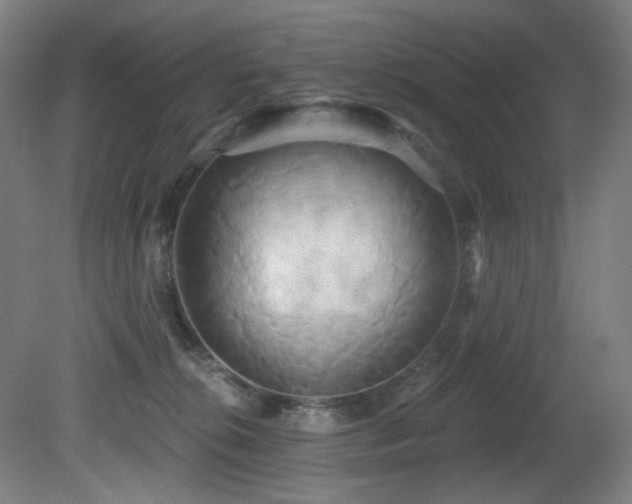 X0000081300276200701111432