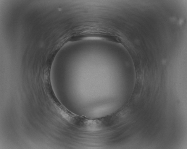X0000081300277200701111432