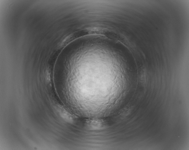 X0000081300282200701111433